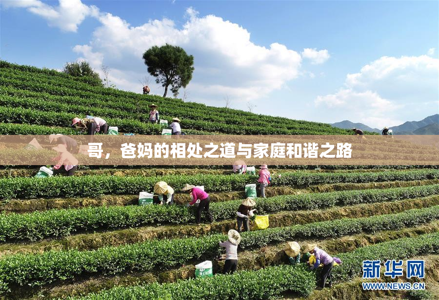 哥，爸妈的相处之道与家庭和谐之路