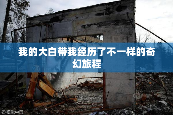 我的大白带我经历了不一样的奇幻旅程