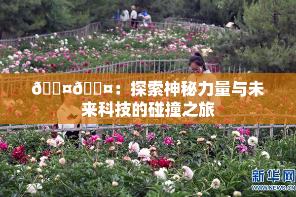 🐤🐤：探索神秘力量与未来科技的碰撞之旅