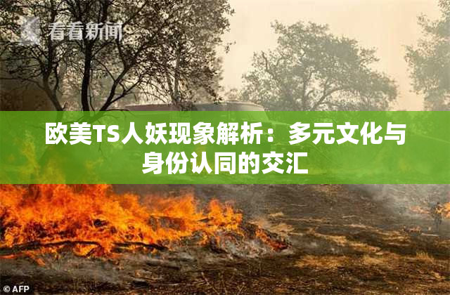 欧美TS人妖现象解析：多元文化与身份认同的交汇