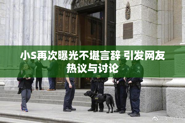 小S再次曝光不堪言辞 引发网友热议与讨论