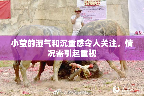 小莹的湿气和沉重感令人关注，情况需引起重视
