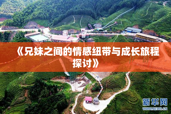 《兄妹之间的情感纽带与成长旅程探讨》