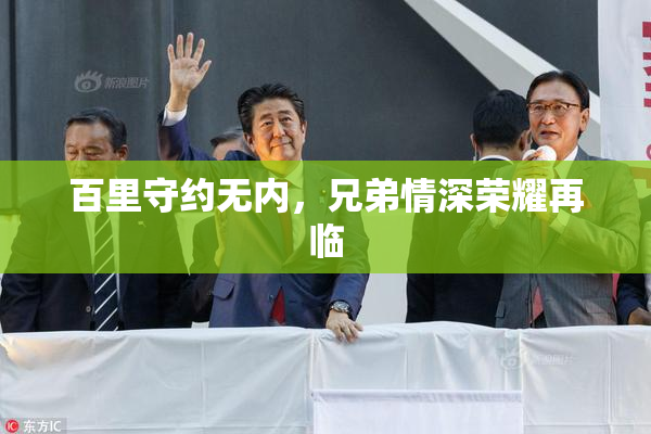 百里守约无内，兄弟情深荣耀再临