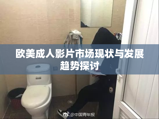 欧美成人影片市场现状与发展趋势探讨