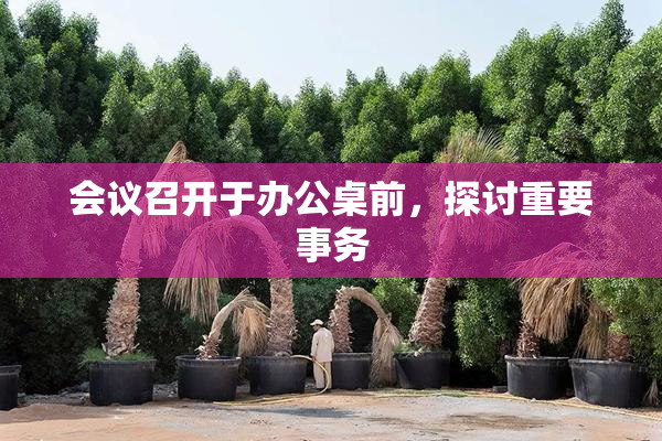 会议召开于办公桌前，探讨重要事务
