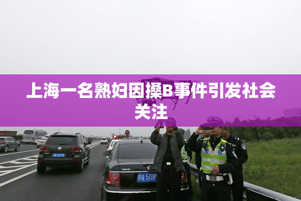 上海一名熟妇因搡B事件引发社会关注