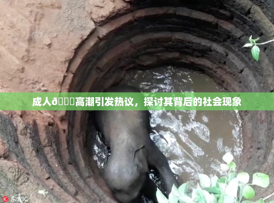 成人🔞高潮引发热议，探讨其背后的社会现象