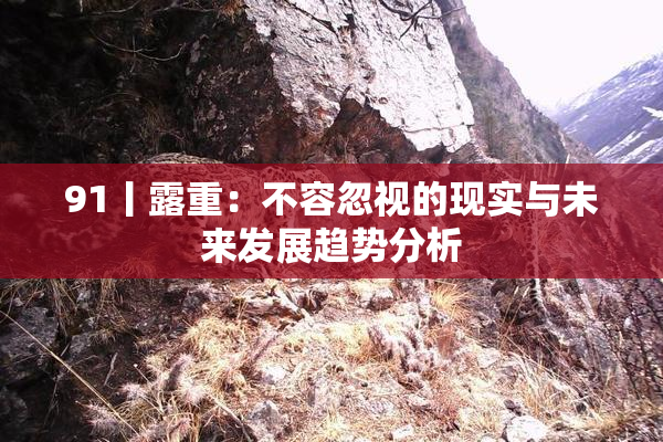 91丨露重：不容忽视的现实与未来发展趋势分析