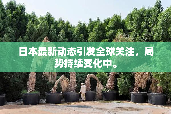 日本最新动态引发全球关注，局势持续变化中。