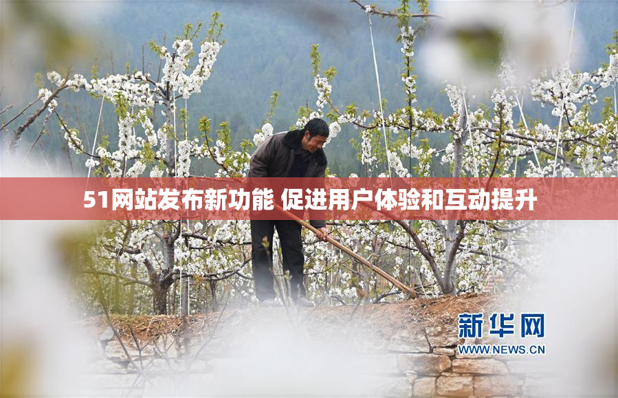 51网站发布新功能 促进用户体验和互动提升