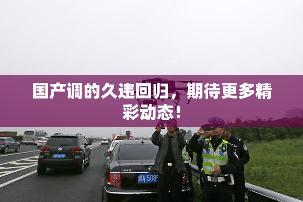 国产调的久违回归，期待更多精彩动态！