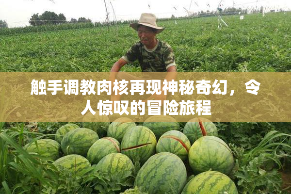 触手调教肉核再现神秘奇幻，令人惊叹的冒险旅程
