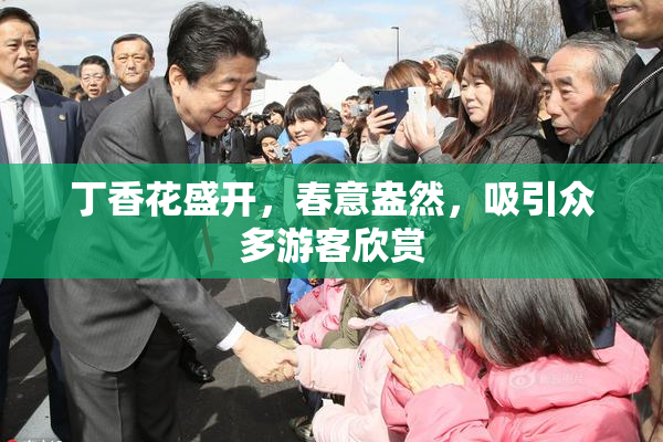 丁香花盛开，春意盎然，吸引众多游客欣赏