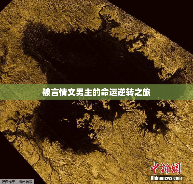 被言情文男主的命运逆转之旅
