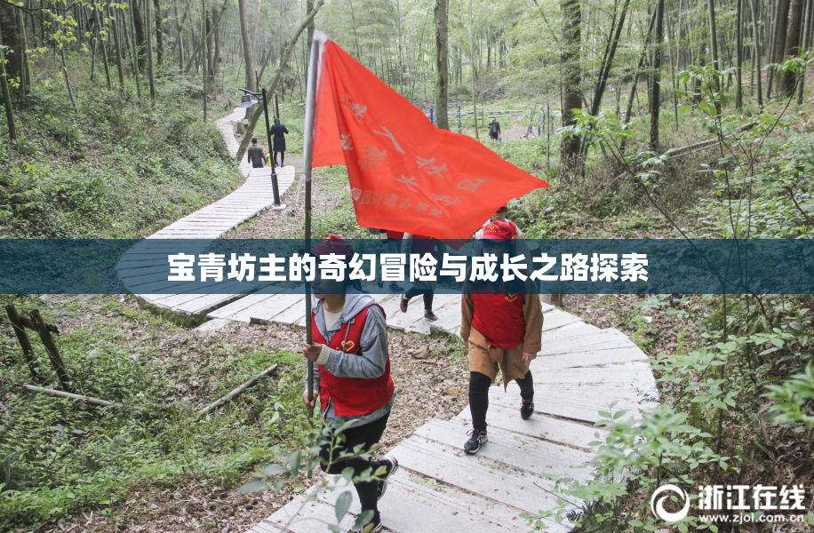 宝青坊主的奇幻冒险与成长之路探索
