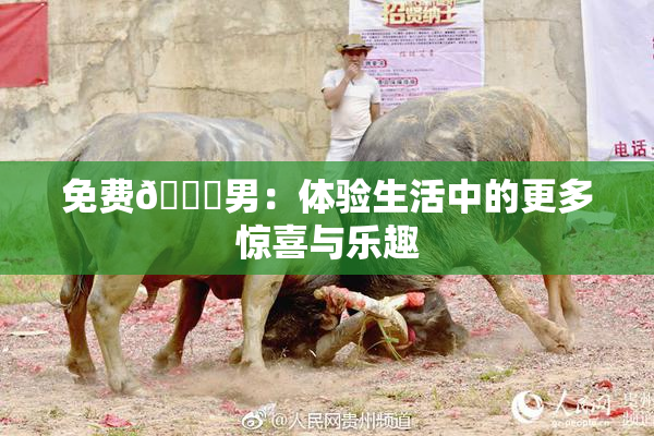 免费🔞男：体验生活中的更多惊喜与乐趣