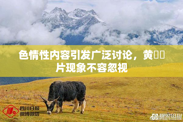 色情性内容引发广泛讨论，黄❌‌片现象不容忽视