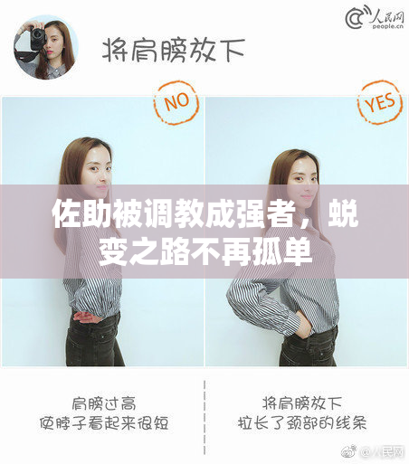 佐助被调教成强者，蜕变之路不再孤单