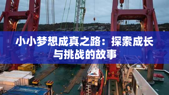 小小梦想成真之路：探索成长与挑战的故事