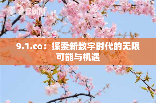 9.1.co：探索新数字时代的无限可能与机遇