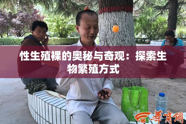 性生殖裸的奥秘与奇观：探索生物繁殖方式
