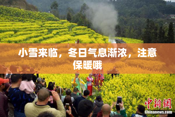 小雪来临，冬日气息渐浓，注意保暖哦