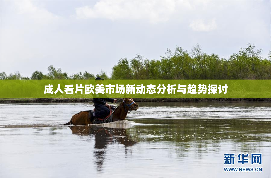 成人看片欧美市场新动态分析与趋势探讨