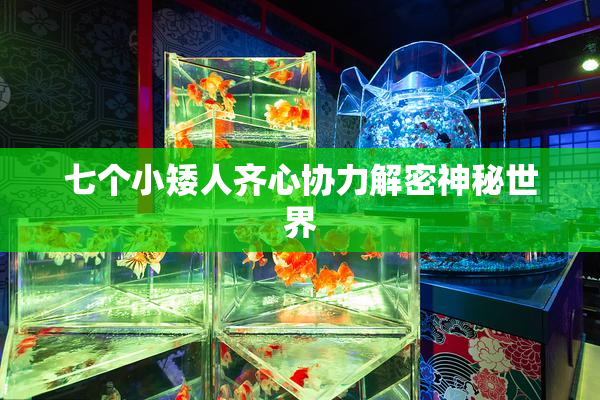 七个小矮人齐心协力解密神秘世界