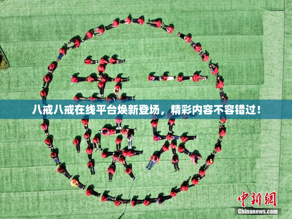 八戒八戒在线平台焕新登场，精彩内容不容错过！