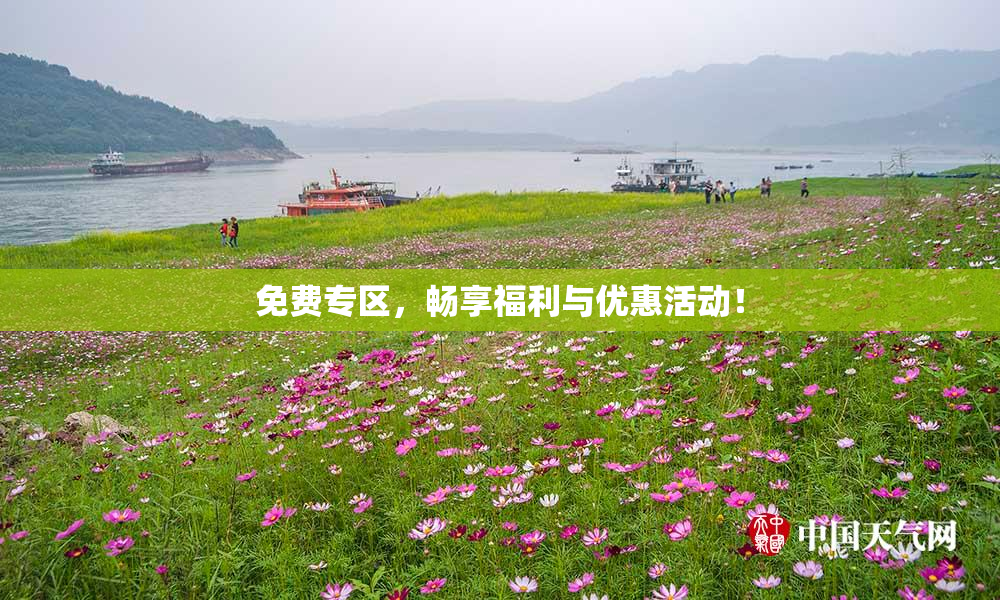免费专区，畅享福利与优惠活动！
