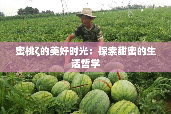蜜桃ζ的美好时光：探索甜蜜的生活哲学