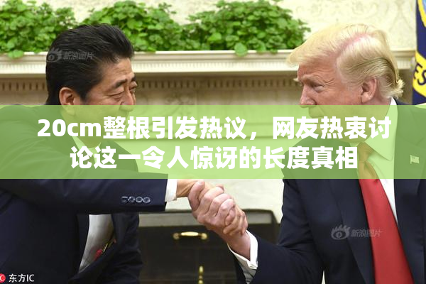 20cm整根引发热议，网友热衷讨论这一令人惊讶的长度真相