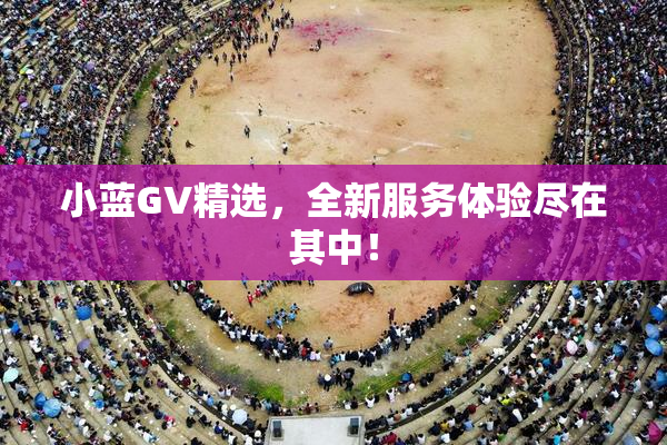小蓝GV精选，全新服务体验尽在其中！
