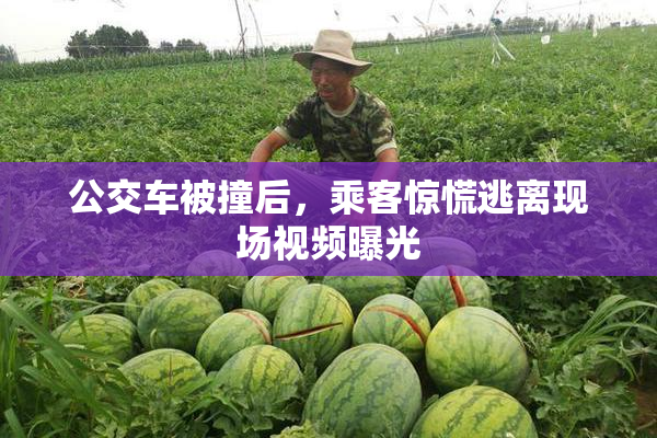 公交车被撞后，乘客惊慌逃离现场视频曝光