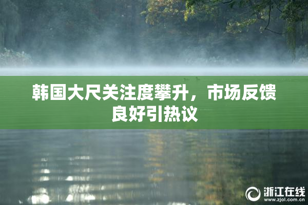 韩国大尺关注度攀升，市场反馈良好引热议