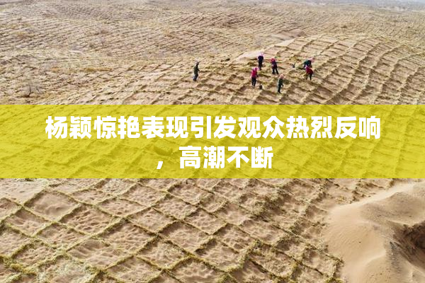 杨颖惊艳表现引发观众热烈反响，高潮不断