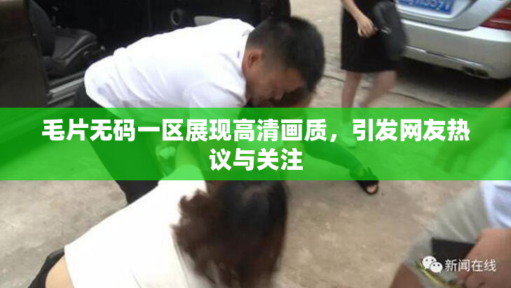毛片无码一区展现高清画质，引发网友热议与关注