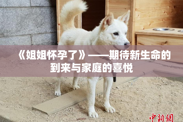 《姐姐怀孕了》——期待新生命的到来与家庭的喜悦