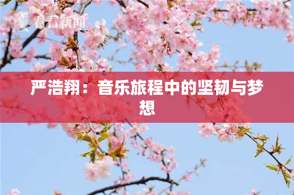 严浩翔：音乐旅程中的坚韧与梦想