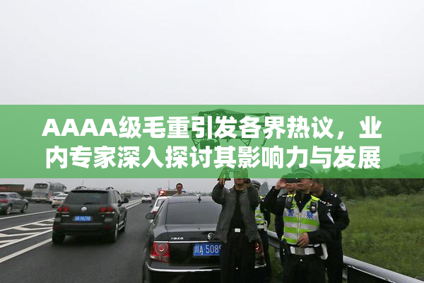 AAAA级毛重引发各界热议，业内专家深入探讨其影响力与发展前景