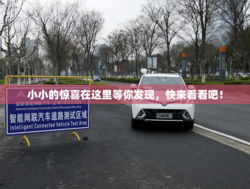 小小的惊喜在这里等你发现，快来看看吧！