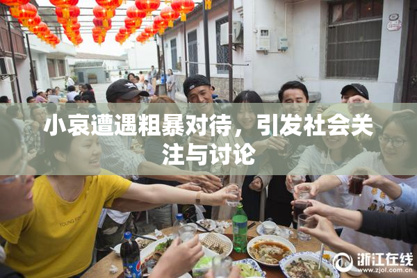 小哀遭遇粗暴对待，引发社会关注与讨论
