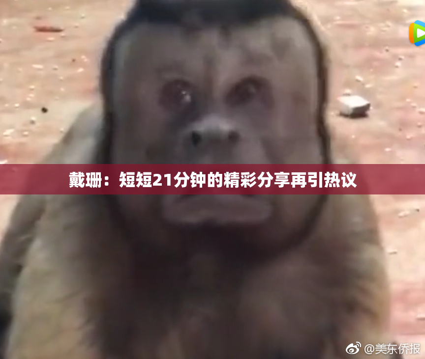 戴珊：短短21分钟的精彩分享再引热议