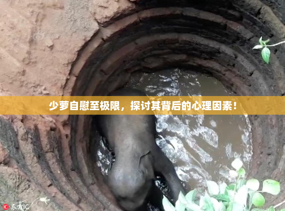 少萝自慰至极限，探讨其背后的心理因素！