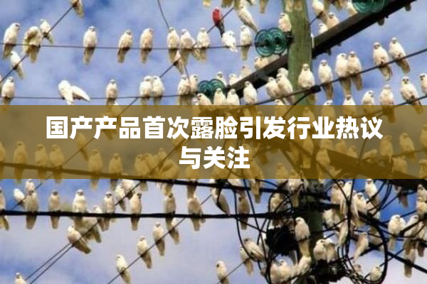 国产产品首次露脸引发行业热议与关注