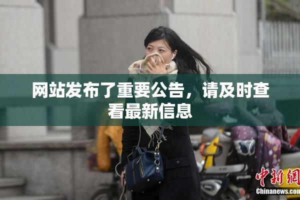 网站发布了重要公告，请及时查看最新信息