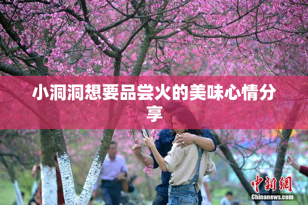 小洞洞想要品尝火的美味心情分享