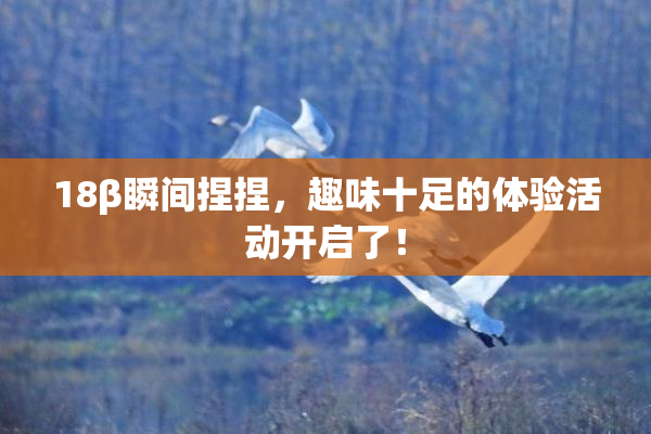 18β瞬间捏捏，趣味十足的体验活动开启了！