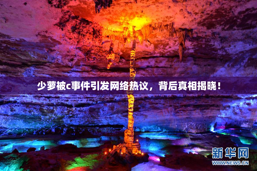 少萝被c事件引发网络热议，背后真相揭晓！
